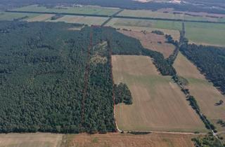 Gewerbeimmobilie kaufen in 15345 Altlandsberg, 29,2 ha Waldbodenfläche liegen in 2 Feldstücken an öffentlich ausgebautem Weg