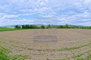 Gewerbeimmobilie kaufen in Flurnummer 349, 682, 199/6, 88682 Salem, Landwirtschaftliche Flächen in 88682 Salem-Mimmenhausen zu verkaufen – Verkauf gegen Gebot