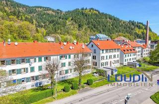 Anlageobjekt in 79183 Waldkirch, 35 auf einen Streich.