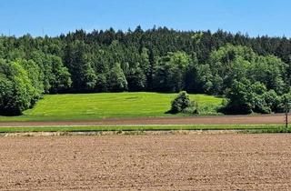 Gewerbeimmobilie kaufen in 83128 Halfing, Zu verkaufen, Wiese verpachtet bis 31.12.2026, Zwischen Halfing und Bad Endorf