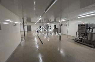 Gewerbeimmobilie mieten in Am Mühlenbach, 21255 Dohren, Lager / Lagerraum / Produktionsraum für Lebensmittelverarbeitung