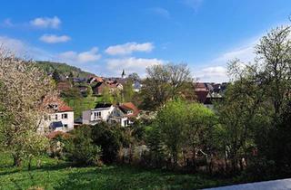 Einfamilienhaus kaufen in 37647 Polle, Polle - Einfamilienhaus mit unverbaubarem Blick über Weserbergland