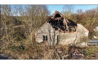 Haus kaufen in 17179 Gnoien, Gnoien - Haus zum Selbstausbau und Renovierung,Tiny House möglich