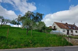 Einfamilienhaus kaufen in 67806 Rockenhausen, Rockenhausen - Einfamilienhaus Bauernhaus Provisionsfrei!!!