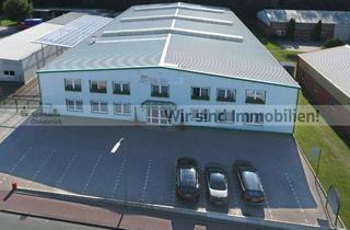 Büro zu mieten in 49492 Westerkappeln, Lagerhalle und Büro Nähe A1 Osnabrück-Hafen