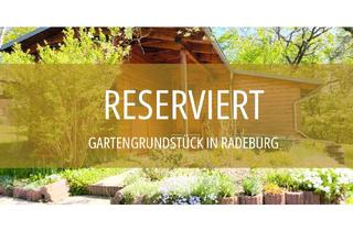 Grundstück zu kaufen in 01471 Radeburg, *RESERVIERT* Freizeitgrundstück mit Wochenendhaus *RESERVIERT*