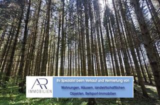 Gewerbeimmobilie kaufen in 73566 Bartholomä, attraktiver Fichtenwald mit ca. 3 ha Gesamtgröße und schönem Bestand!