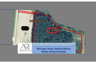 Gewerbeimmobilie kaufen in 73566 Bartholomä, attraktiver Fichtenwald mit ca. 2 ha Gesamtgröße und schönem Bestand!