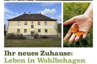 Wohnung mieten in Putlitzer Straße 11, 16928 Pritzwalk, Niedrige Nebenkosten dank Wärmepumpe + PV: Neu renovierte 4-Zi-Wohnungen in Wolfshagen ab 09/25