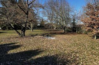 Grundstück zu kaufen in 04523 Pegau, Südraum von Leipzig: Idyllisches 999 m² großes Baugrundstück in gewachsener, ruhiger Lage!