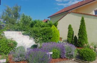 Wohnung mieten in 71711 Murr, Sonnige, sehr individuelle Wohnung, ruhig gelegen, ideal auch für 2er WG