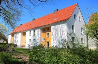 Wohnung mieten in Saarstr. 127, 38116 Lehndorf, Saarstr. 127, 1/L - Kleine feine Wohnung in ruhigem Haus und grüner Umgebung zum Sommer anzumieten