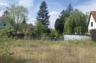 Doppelhaushälfte kaufen in 68723 Schwetzingen, Schwetzingen - Neubau einer sehr attraktiven Doppelhaushälfte mit 140 m² und ca. 430 m² Areal