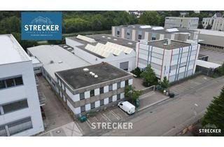 Gewerbeimmobilie kaufen in 75203 Königsbach-Stein, Produktionsstätte mit Bürobereichen