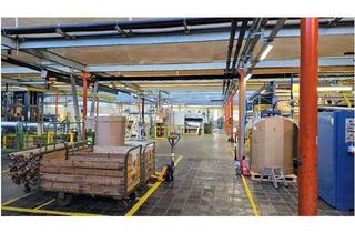 Gewerbeimmobilie kaufen in 08491 Netzschkau, Top Produktionshallen/Lagerhallen, Rampen, Büroflächen...