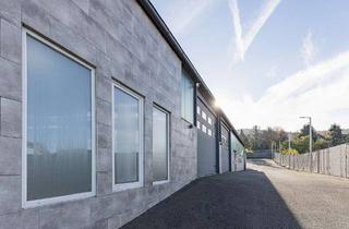 Gewerbeimmobilie kaufen in 58285 Gevelsberg, Hochwertig sanierte Gewerbehalle mti Büroräumen und Anbaupotenzial in Gevelsberg
