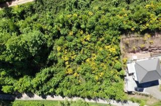 Grundstück zu kaufen in 76891 Bundenthal, Natur & Moderne vereint – Baugrundstück mit direkter Waldrandlage in Neubaugebiet