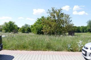 Grundstück zu kaufen in 76448 Durmersheim, Baugrundstück für DHH in Feldlage