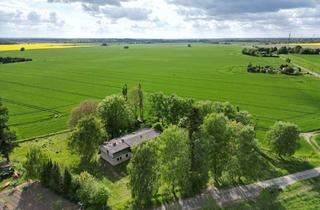 Grundstück zu kaufen in 17121 Sassen-Trantow, 4700 m² großes Baugrundstück unweit der Hansestadt Greifswald