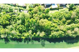 Grundstück zu kaufen in 74259 Widdern, Verwunschene Naturidylle am Ortsrand – 1.569 m² bewaldetes Grundstück in Widdern-Bühl