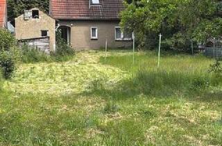 Grundstück zu kaufen in 32457 Porta Westfalica, Grundstück ca. 843m² in attraktiver Lage in Porta Westfalica zu verkaufen