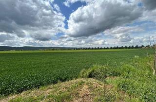 Grundstück zu kaufen in 30974 Wennigsen, PROVISIONSFREI ! Attraktives Baugrundstück im Gewerbegebiet - Ideal für Wohnen & Gewerbe