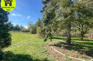 Grundstück zu kaufen in 03238 Finsterwalde, Großes Wochenend- Gartengrundstück mit zwei Bungalows in Finsterwalde