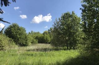 Grundstück zu kaufen in Eisenberger Straße 22, 07616 Serba, Naturbelassenes Grundstück inkl. Haus, Schuppen und Teich