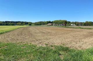 Gewerbeimmobilie kaufen in 83135 Schechen, Schöne landwirtschaftliche Nutzfläche