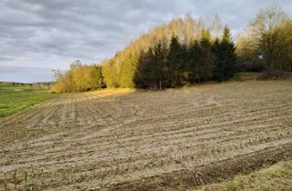 Gewerbeimmobilie kaufen in 84076 Pfeffenhausen, Acker- und Waldflächen in der Gemeinde Pfeffenhausen zu verkaufen. Gesamtfläche ca. 1,68 ha