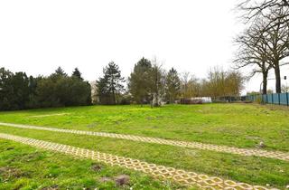 Gewerbeimmobilie kaufen in 15370 Fredersdorf-Vogelsdorf, GROSSZÜGIGES RD. 3300 M ² GRUNDSTÜCK + AN DER B1/B5 + GEMISCHTE BAUFLÄCHE