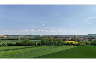 Haus kaufen in 55599 Wonsheim, Zwischen Weinbergen und Natur – Ihr Investment in der Rheinhessischen Schweiz