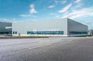 Gewerbeimmobilie mieten in 01900 Großröhrsdorf, Projektierter Neubau einer Lager- und Logistikhalle