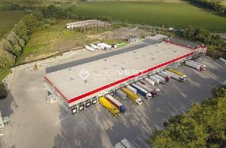 Gewerbeimmobilie mieten in 08371 Glauchau, Projektierter Neubau einer Lager- und Logistikhalle