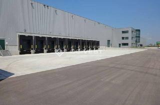 Gewerbeimmobilie mieten in 06792 Sandersdorf, Vielseitige Lager- und Produktionshalle mit 24/7 Nutzung nahe der A9