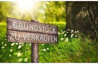Grundstück zu kaufen in 76726 Germersheim, Großes Grundstück für Ihre Doppelhaushälfte in toller ruhiger Lage.