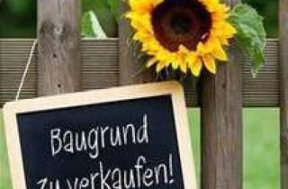 Grundstück zu kaufen in 76889 Birkenhördt, Großes - schönes Baugrundstück für Ihren Haustraum mit Südgarten.