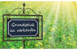 Grundstück zu kaufen in 67271 Kindenheim, Tolles großes Grunstück in absolut ruhiger Lage von Kindenheim.
