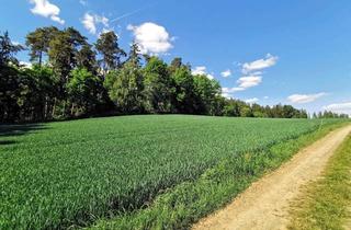Gewerbeimmobilie kaufen in 84101 Obersüßbach, Landwirtschaftliche Fläche /Acker, Landkreis Landshut
