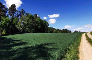 Gewerbeimmobilie kaufen in 84101 Obersüßbach, Landwirtschaftliche Fläche /Acker, Landkreis Landshut