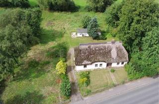 Haus kaufen in 25779 Hennstedt, Hennstedt - Reetdachhaus Reetdach Haus 2.909qm Grundstück von privat