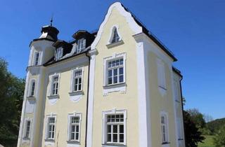 Villa kaufen in 92259 Neukirchen, Neukirchen bei Sulzbach-Rosenberg - Historische Villa in den Ausläufen der Fränkischen Alb als Wohntraum oder Ferienhausvermietung