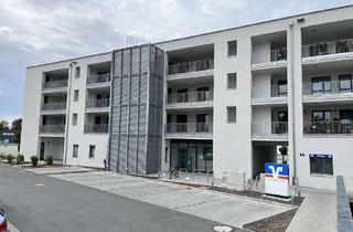 Wohnung mieten in Donaustr., 93086 Wörth, ab 16.09. - Großzügige 3-Zimmer-Wohnung in Wörth a.d. Donau