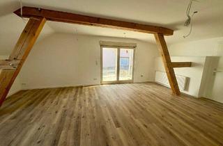 Wohnung mieten in 67574 Osthofen, Wunderschöne 1-Zimmerwohnung mit EBK und Dachterrasse in Osthofen – Ihr neues Zuhause!