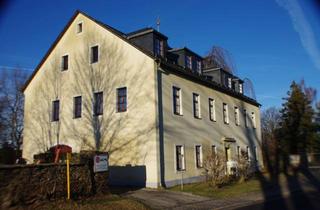 Wohnung mieten in Freiberger Str. 45, 09633 Halsbrücke, Tolle 1 Raum Dachgeschoß Wohnung mit dem ganz besonderen Charme