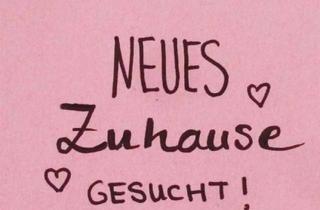 Wohnung mieten in 66787 Wadgassen, Suche Mietwohnung für solvente Kunde in Lebach und Umgebung