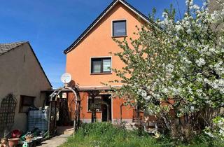 Einfamilienhaus kaufen in 01561 Schönfeld, Modernes Einfamilienhaus bei Ortrand mit 7 Zimmern, Solar und Photovoltaik