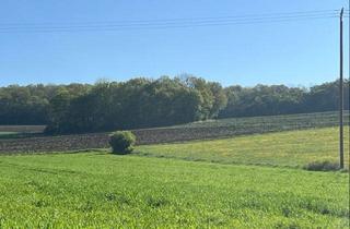 Grundstück zu kaufen in 54634 Birtlingen, Landwirtschaftliche Ackerfläche