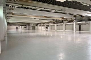 Gewerbeimmobilie mieten in 67105 Schifferstadt, Attraktive Gewerbeimmobilie im Industriegebiet – ca. 4.500 m² flexibel nutzbare Fläche!