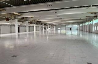 Gewerbeimmobilie mieten in 67105 Schifferstadt, flexibel nutzbare Fläche! Attraktive Gewerbeimmobilie im Industriegebiet – ca. 3.500 m²